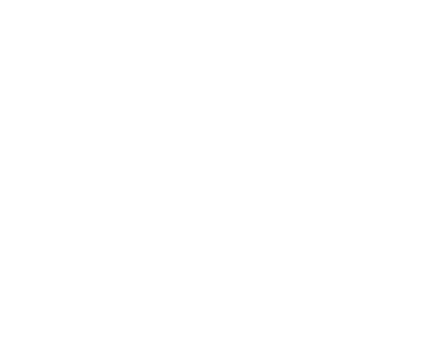 Expertise Best Real - Charlotte Roof Master